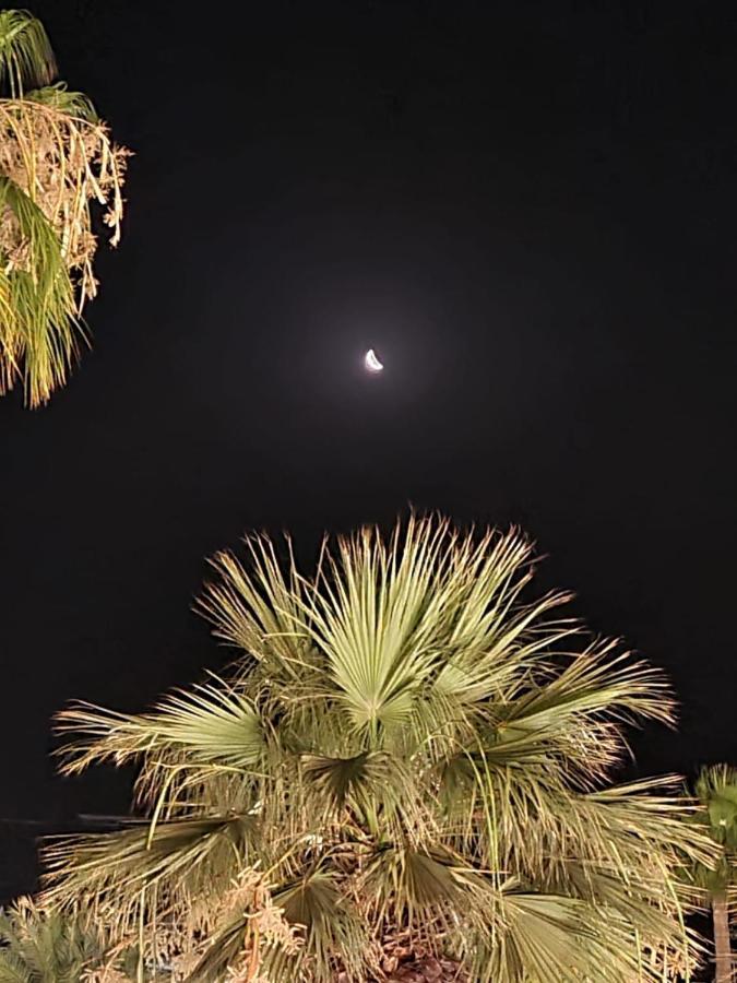 Alex Beach Apartment 31 Larnaca Exterior foto